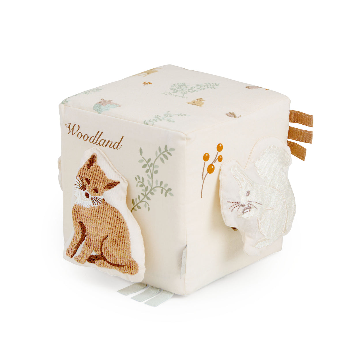 Activity Cube - OCS - Woodland