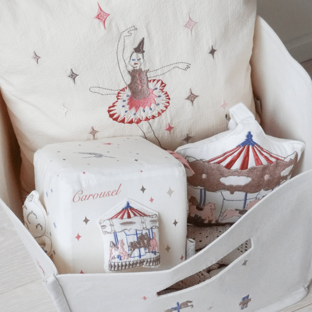 Activity Cube - OCS Carousel
