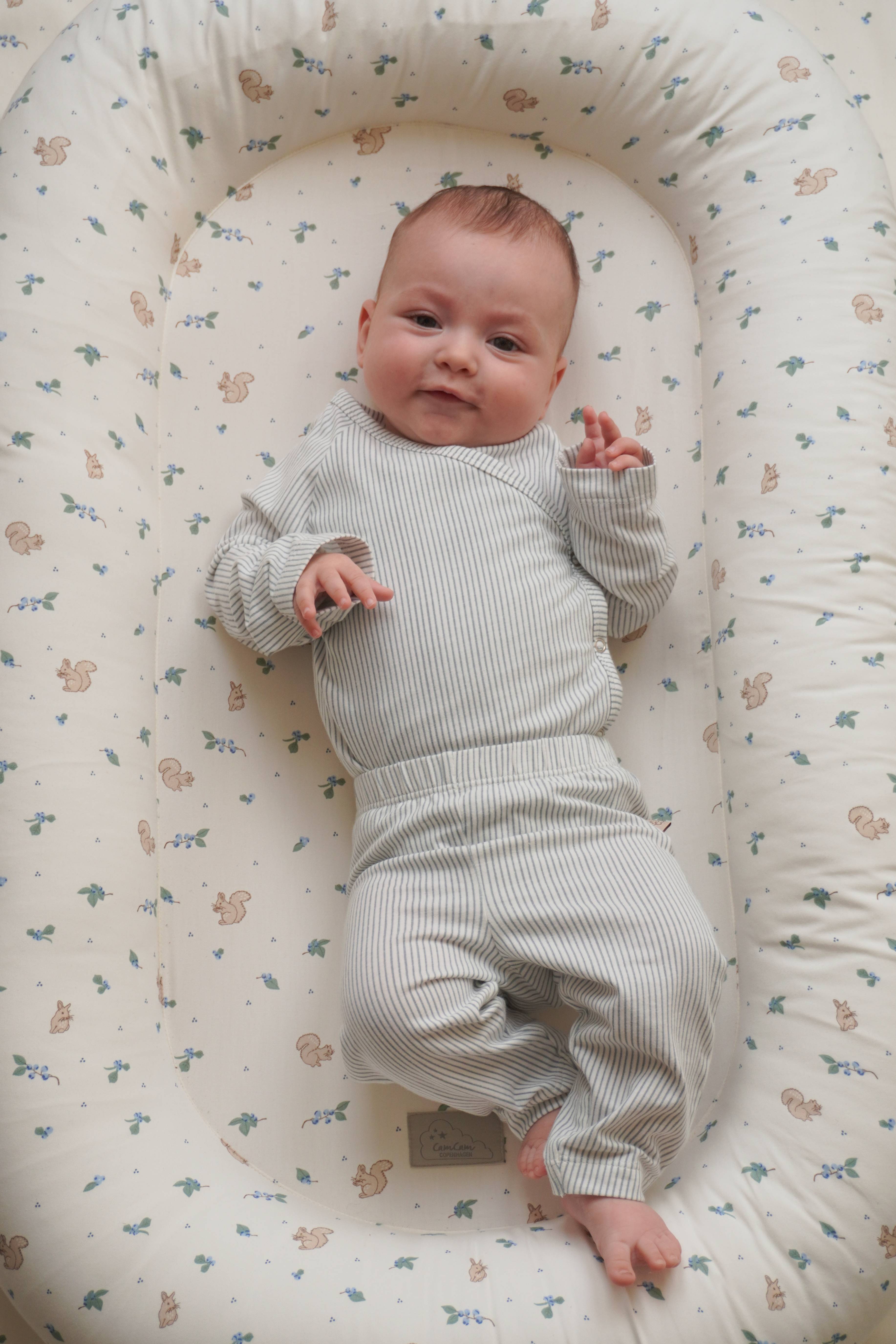 Nid bébé - OCS - Blueberries