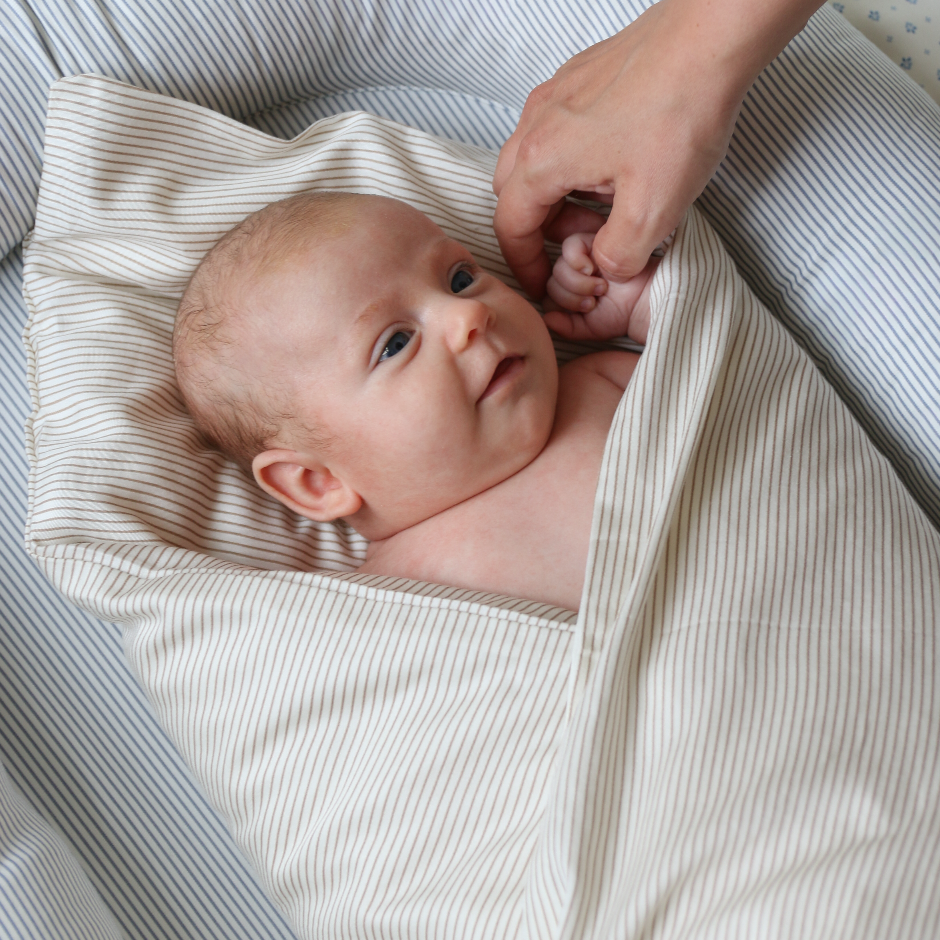 Baby Nest - OCS - Classic Stripes Blue