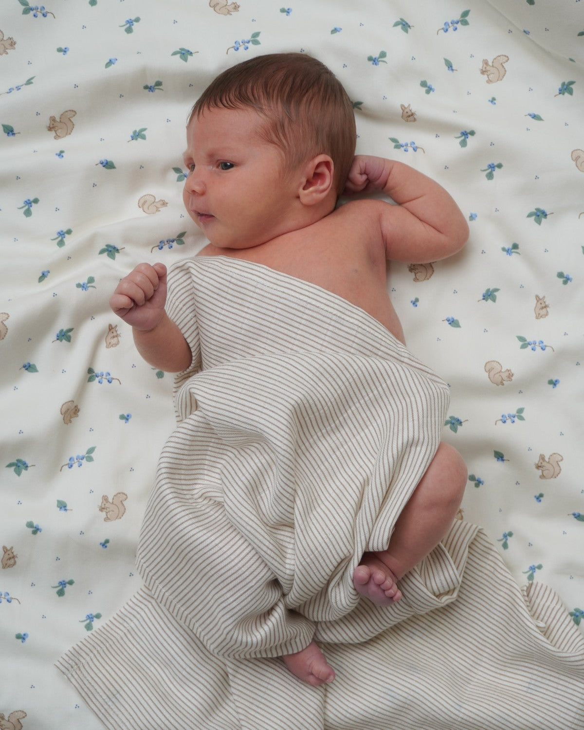 Bedding Set, Baby, 70x100cm - GOTS - Blueberries