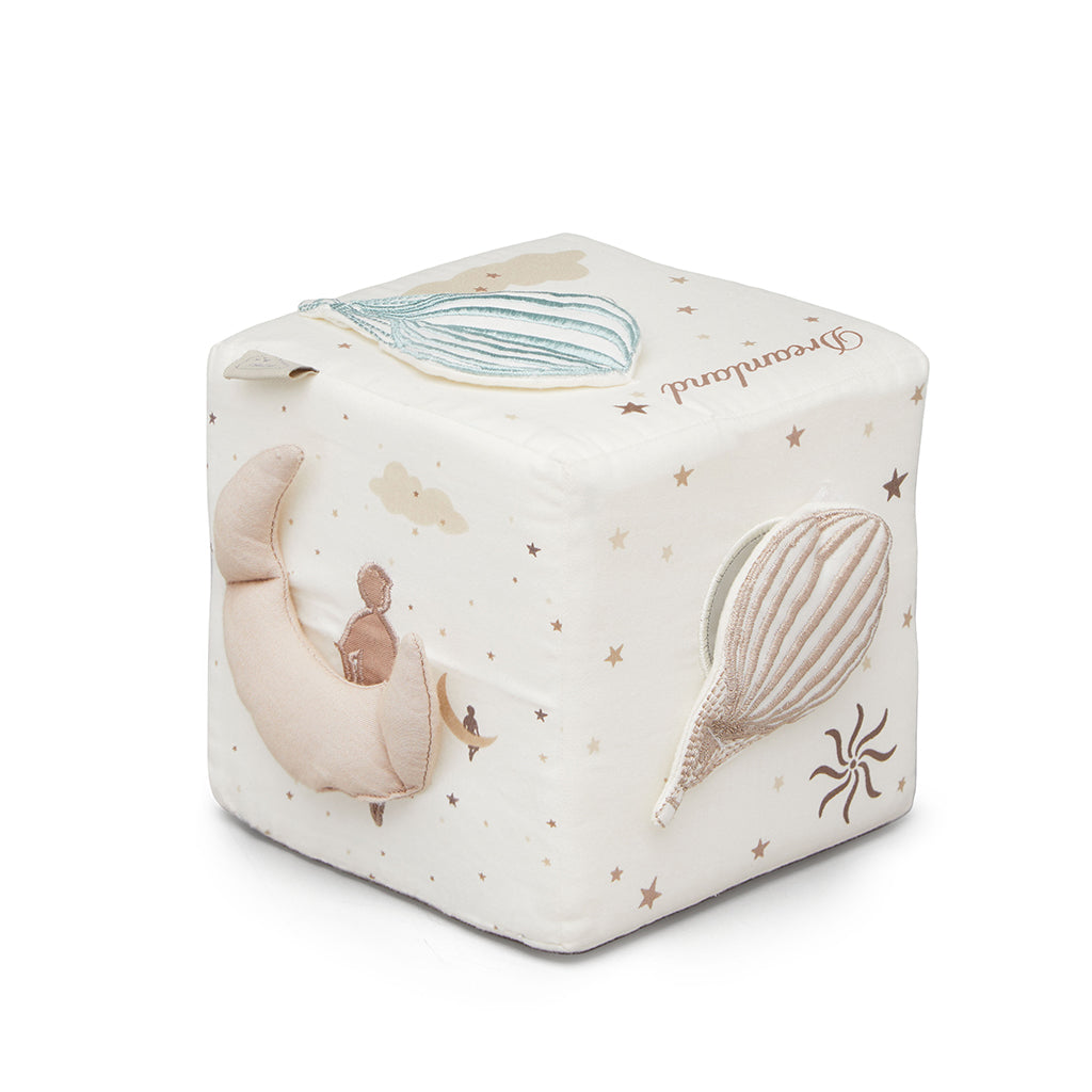 Activity Cube - OCS Dreamland