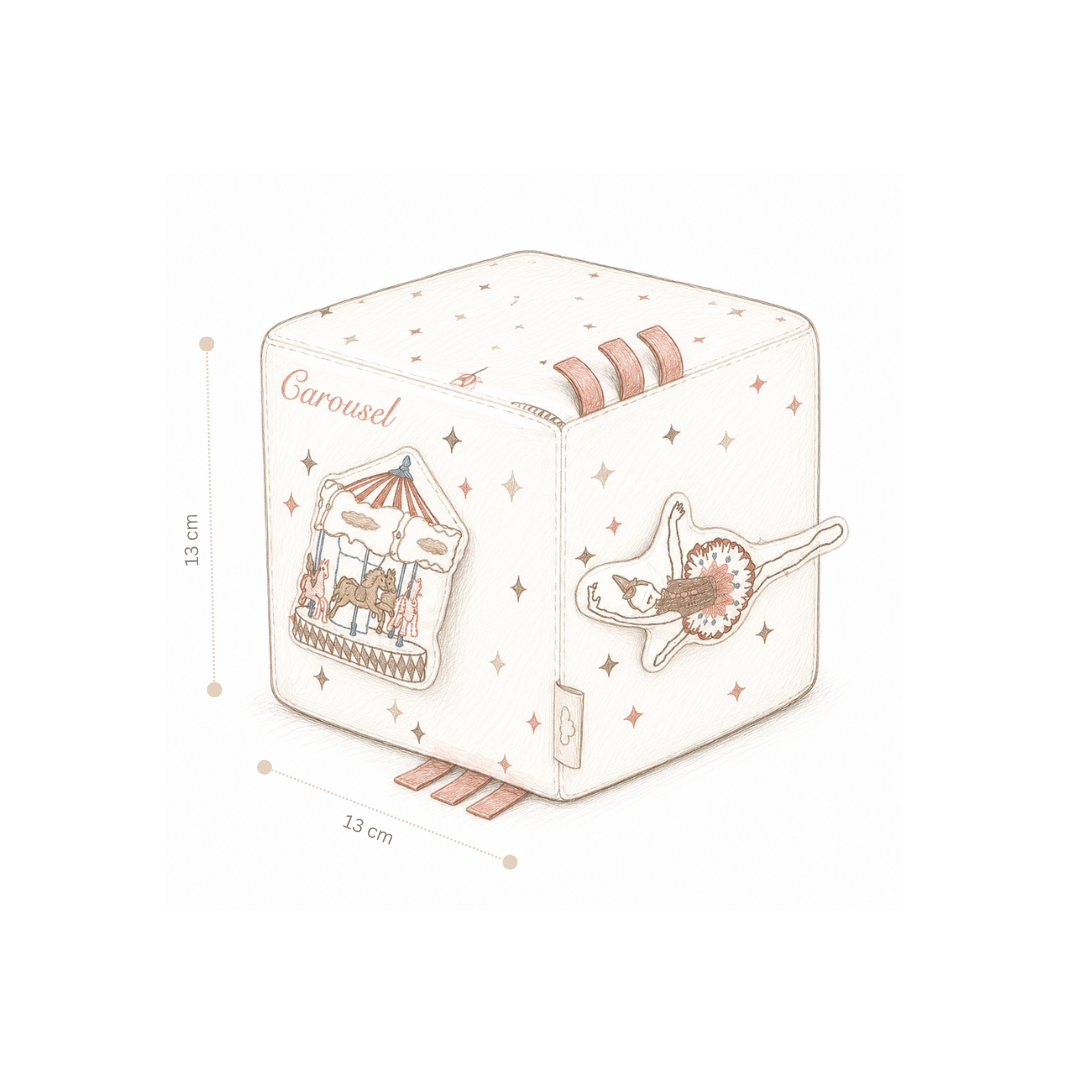 Activity Cube - OCS Carousel