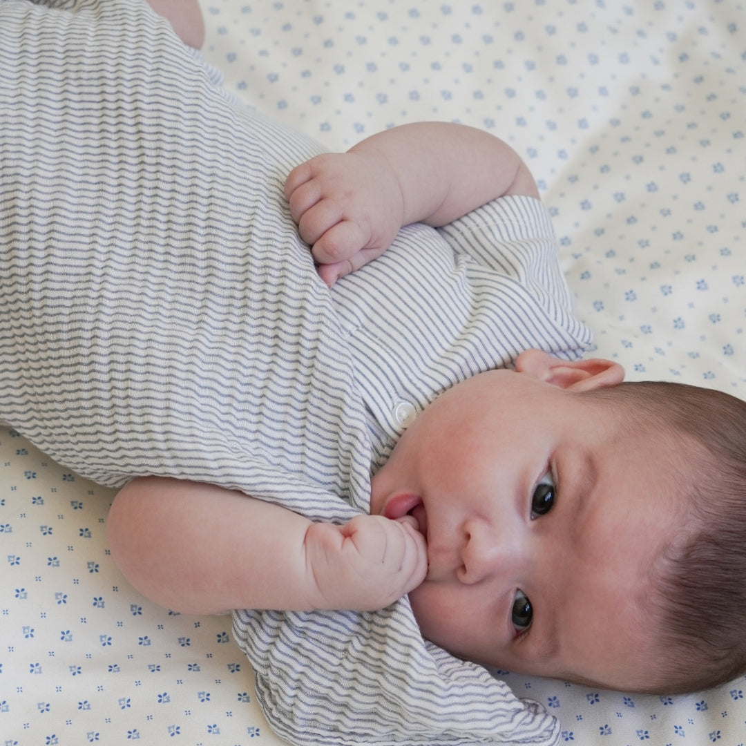 Short Sleeved Body Elliot - GOTS - Classic Stripes Blue