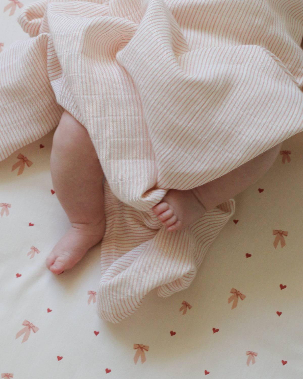 Soft Blanket - OCS - Bows