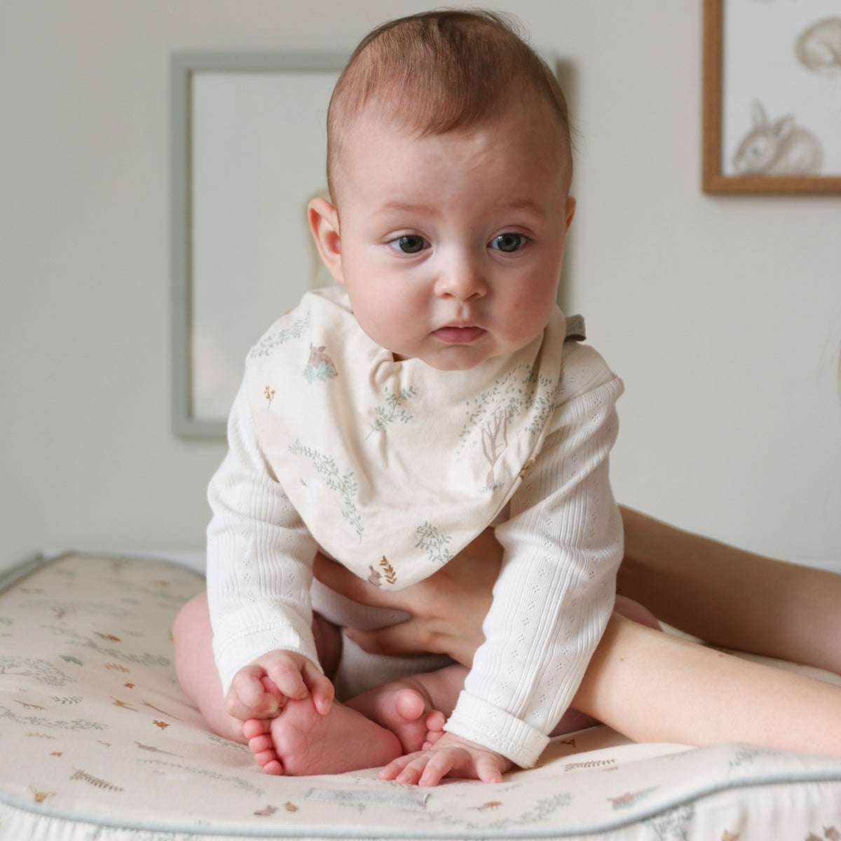 Bandana Bib, Jersey, 2-Pack - GOTS - Woodland