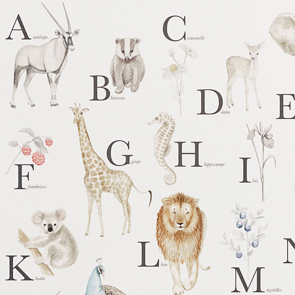 Poster alphabet - Version française